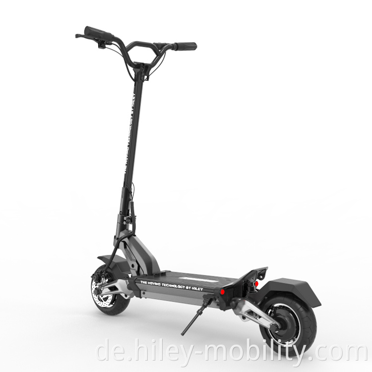 2 Wheel Electric Standing Scooter